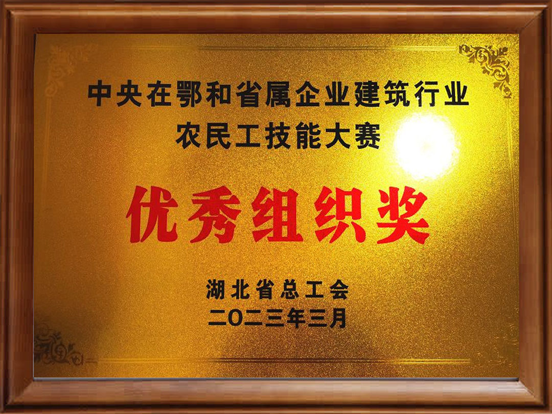 优秀组织奖